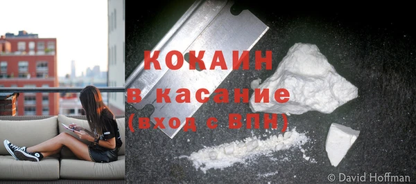 крисы Арсеньев
