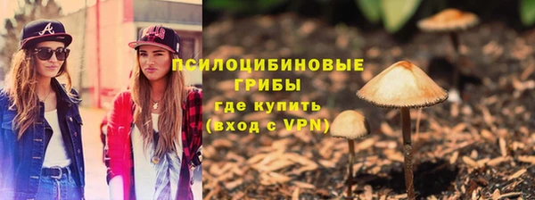 крисы Арсеньев