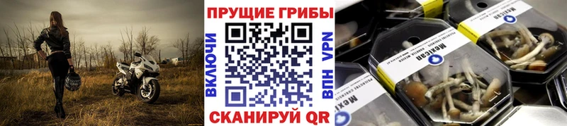 Галлюциногенные грибы мицелий Волгоград